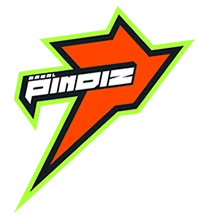 Rawalpindi Pindiz official team mark