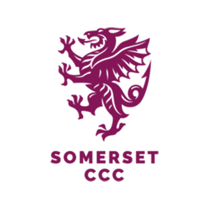 Somerset official team mark