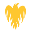 Wellington Firebirds official team mark